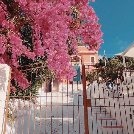 蓬扎La Casa Rosa别墅 外观 照片